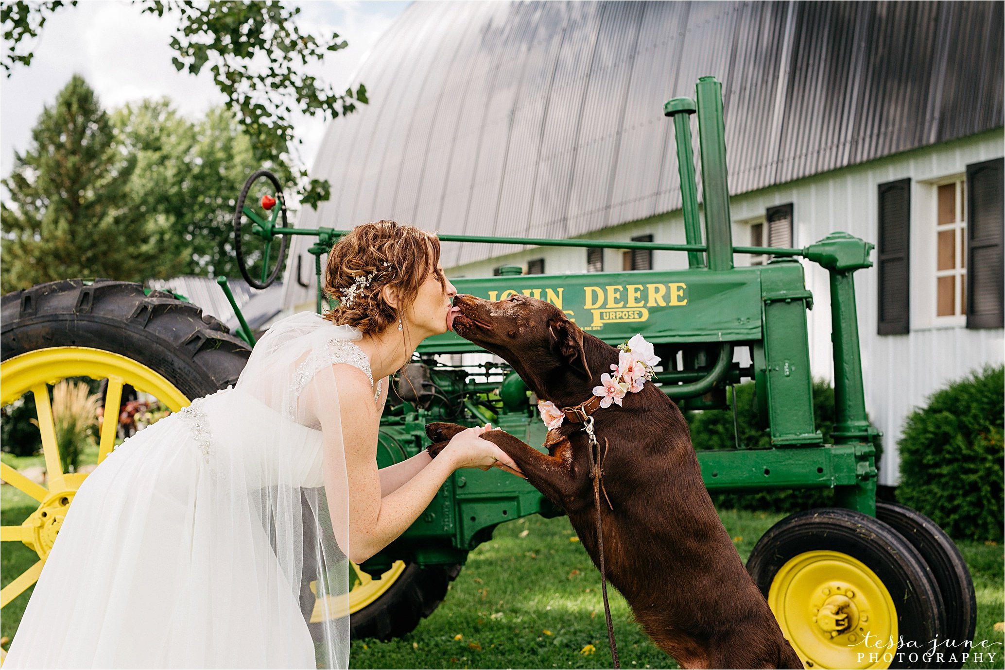 cadillac-ranch-wedding-maple-lake-st-cloud-wedding-photographer_0044.jpg