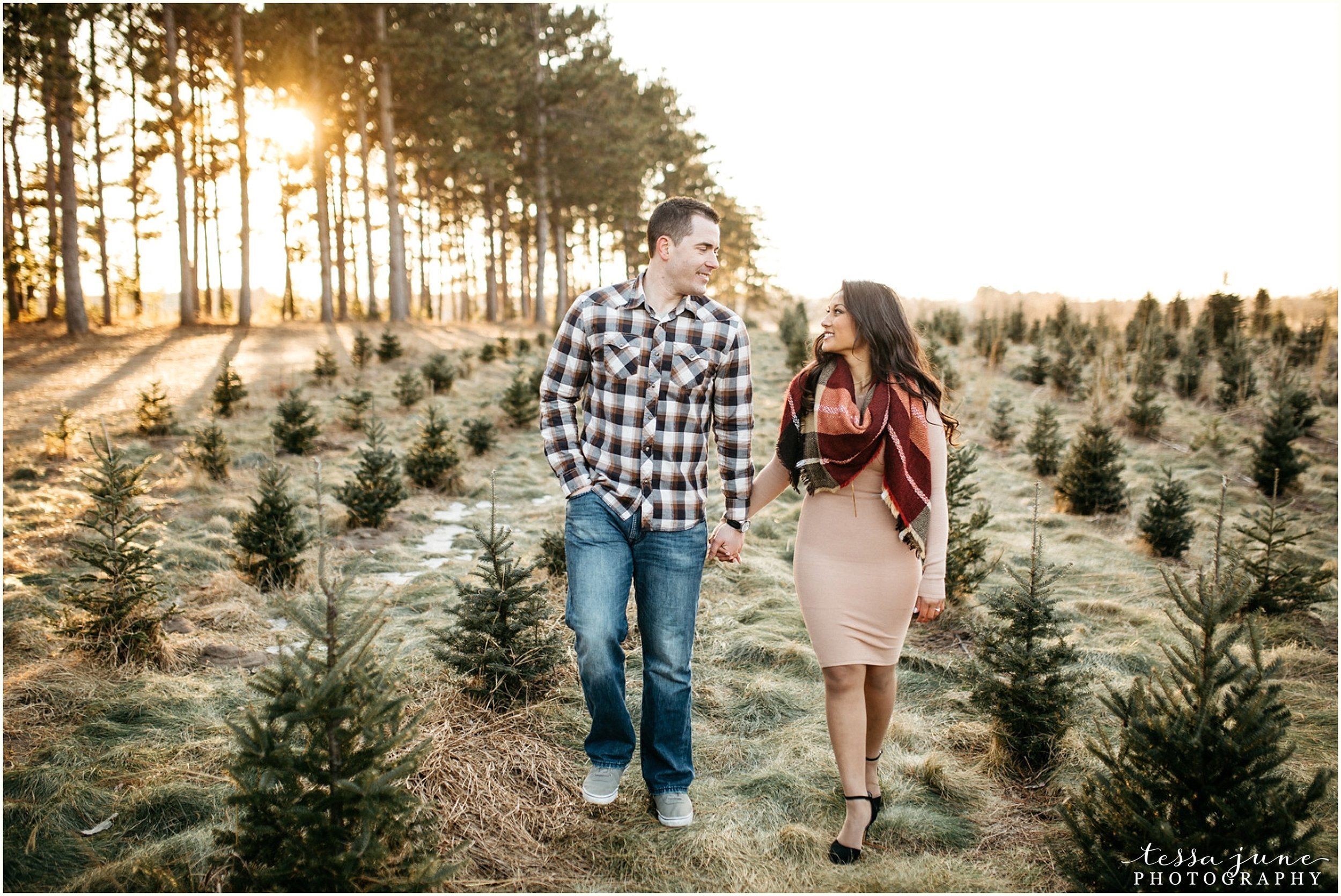 hansen-tree-farm-anoka-engagement-session-st-cloud-photographer-25.jpg