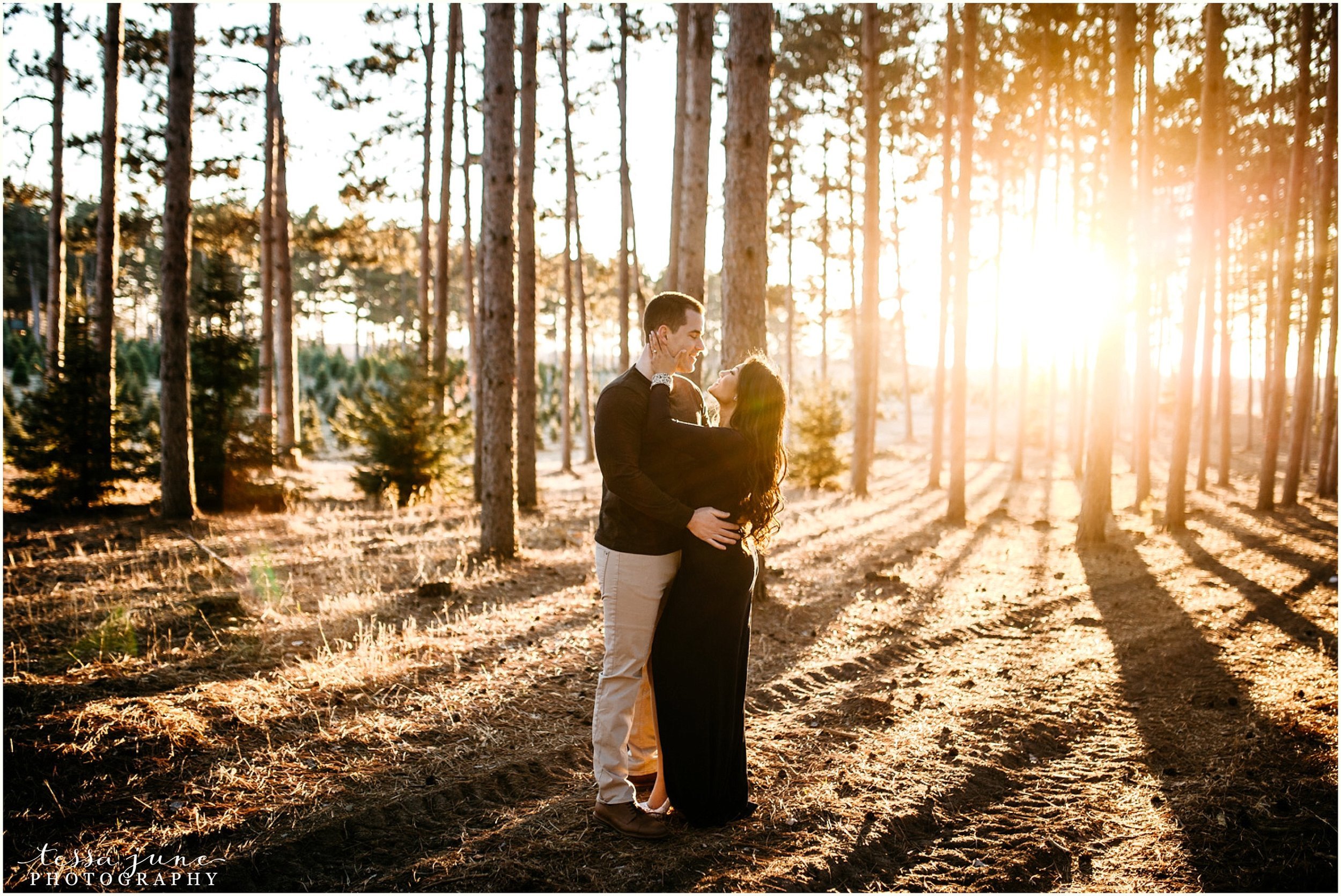 hansen-tree-farm-anoka-engagement-session-st-cloud-photographer-26.jpg