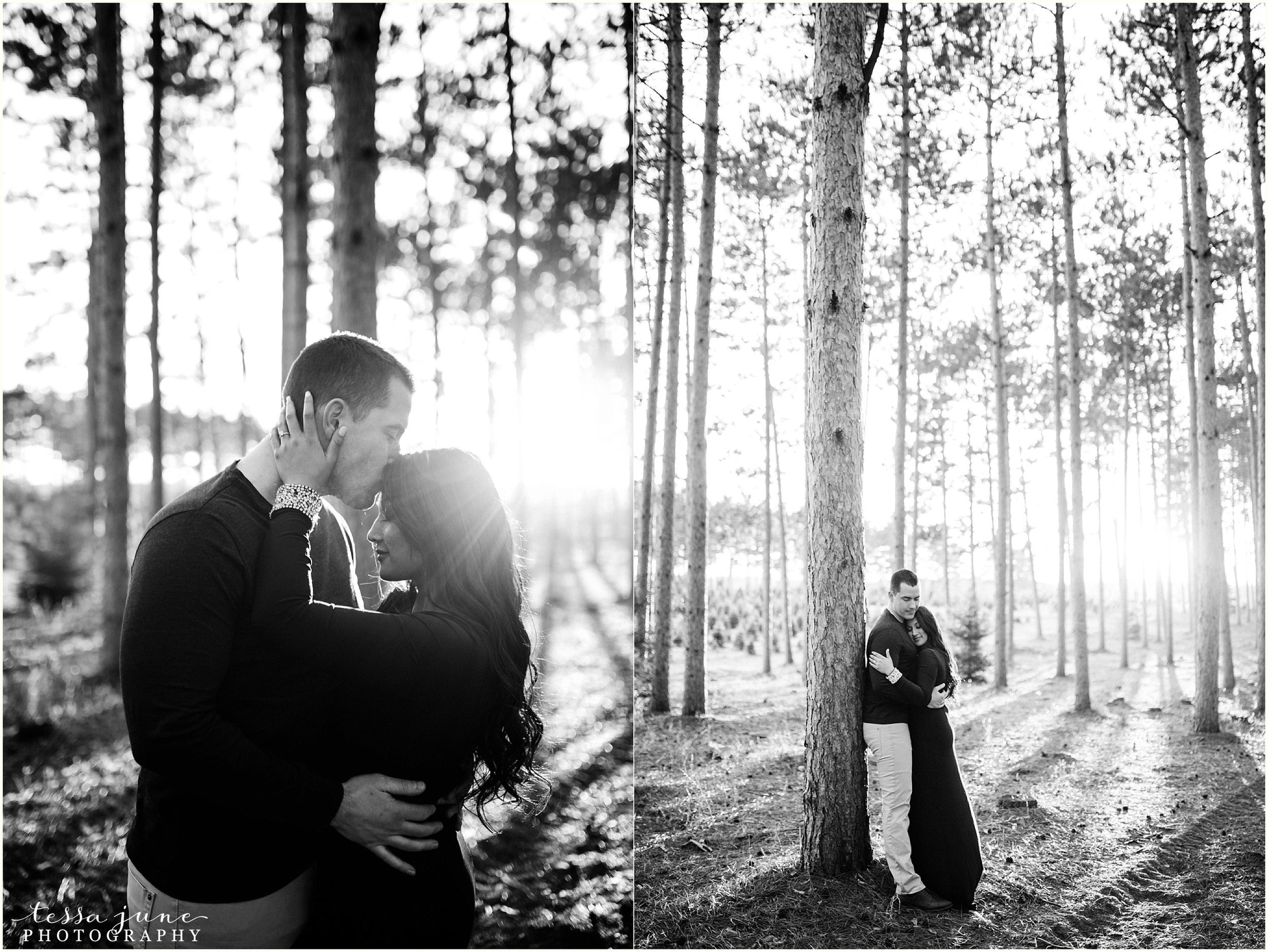 hansen-tree-farm-anoka-engagement-session-st-cloud-photographer-28.jpg