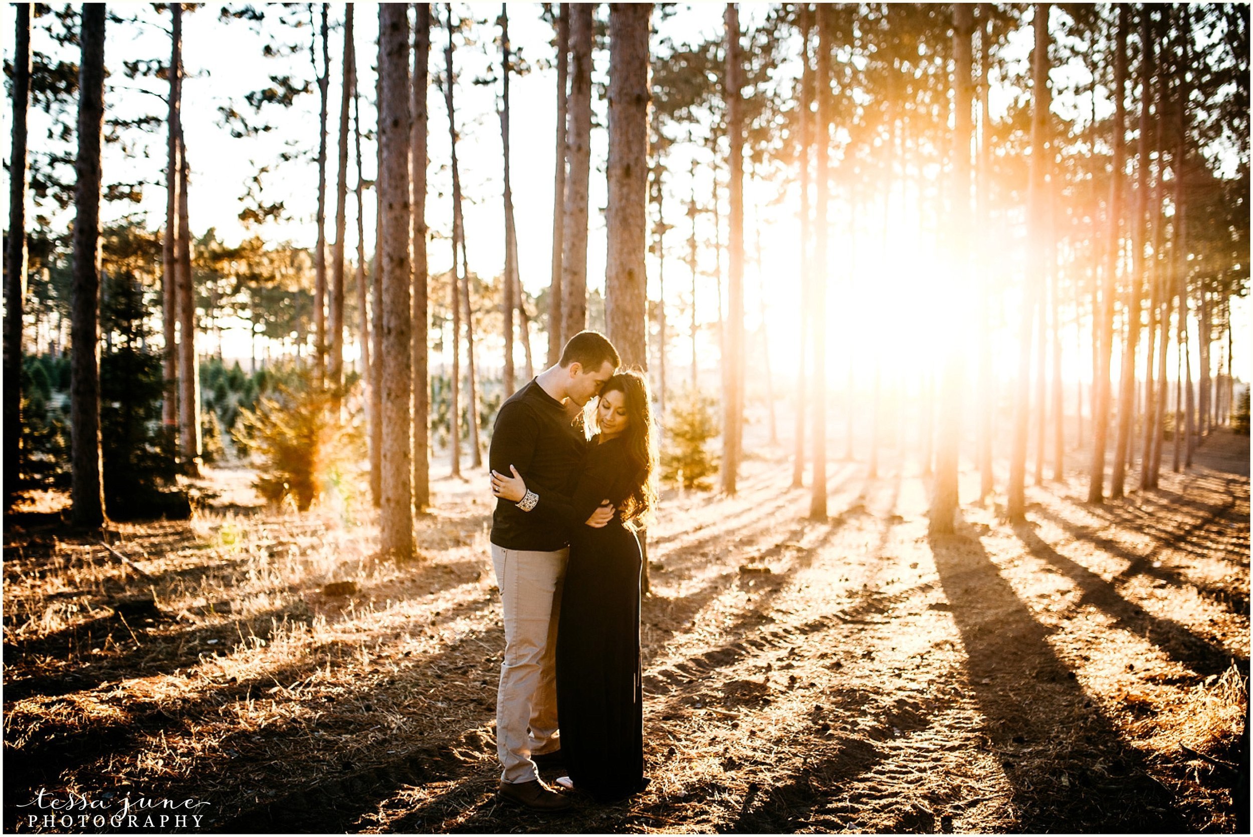 hansen-tree-farm-anoka-engagement-session-st-cloud-photographer-29.jpg