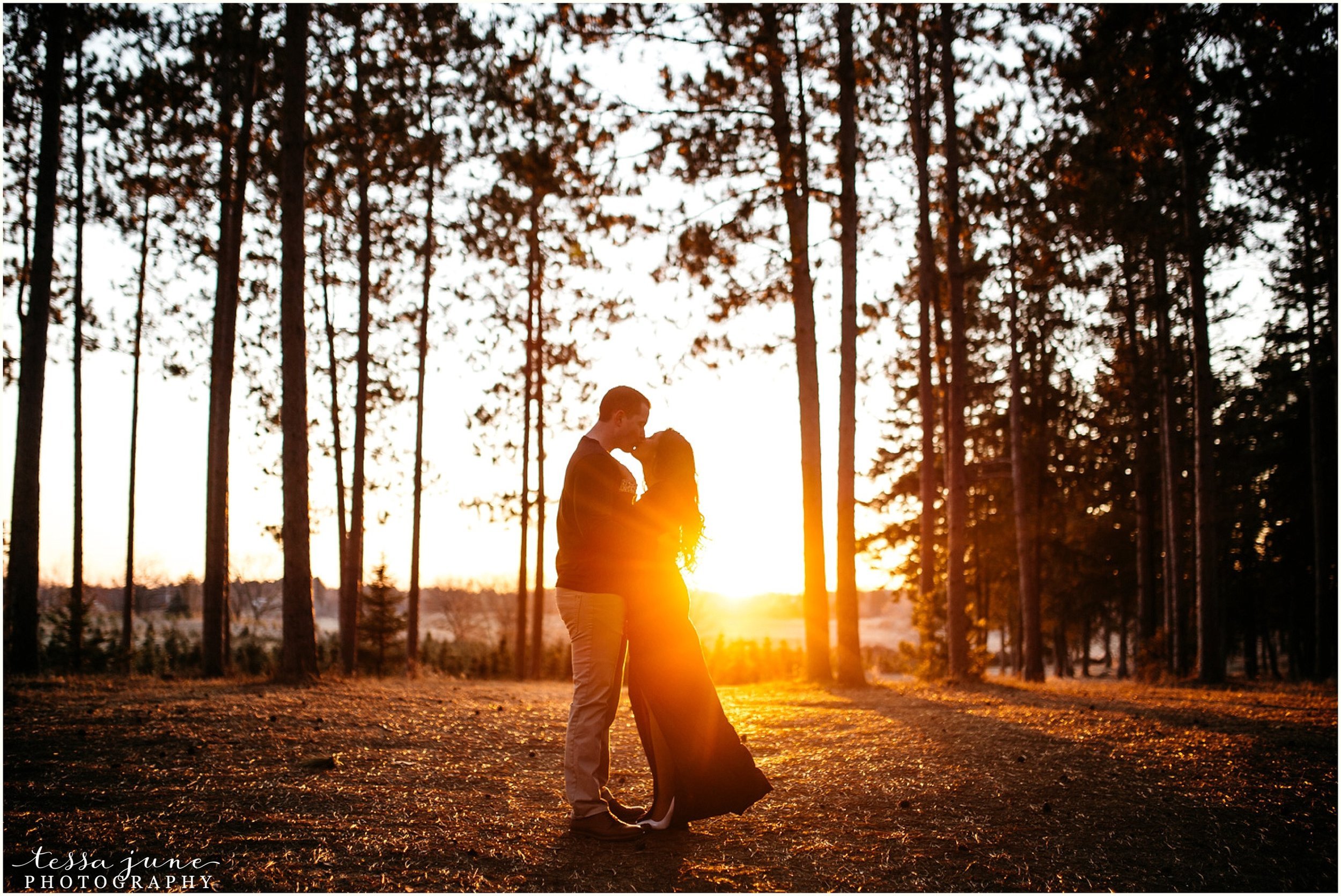 hansen-tree-farm-anoka-engagement-session-st-cloud-photographer-33.jpg