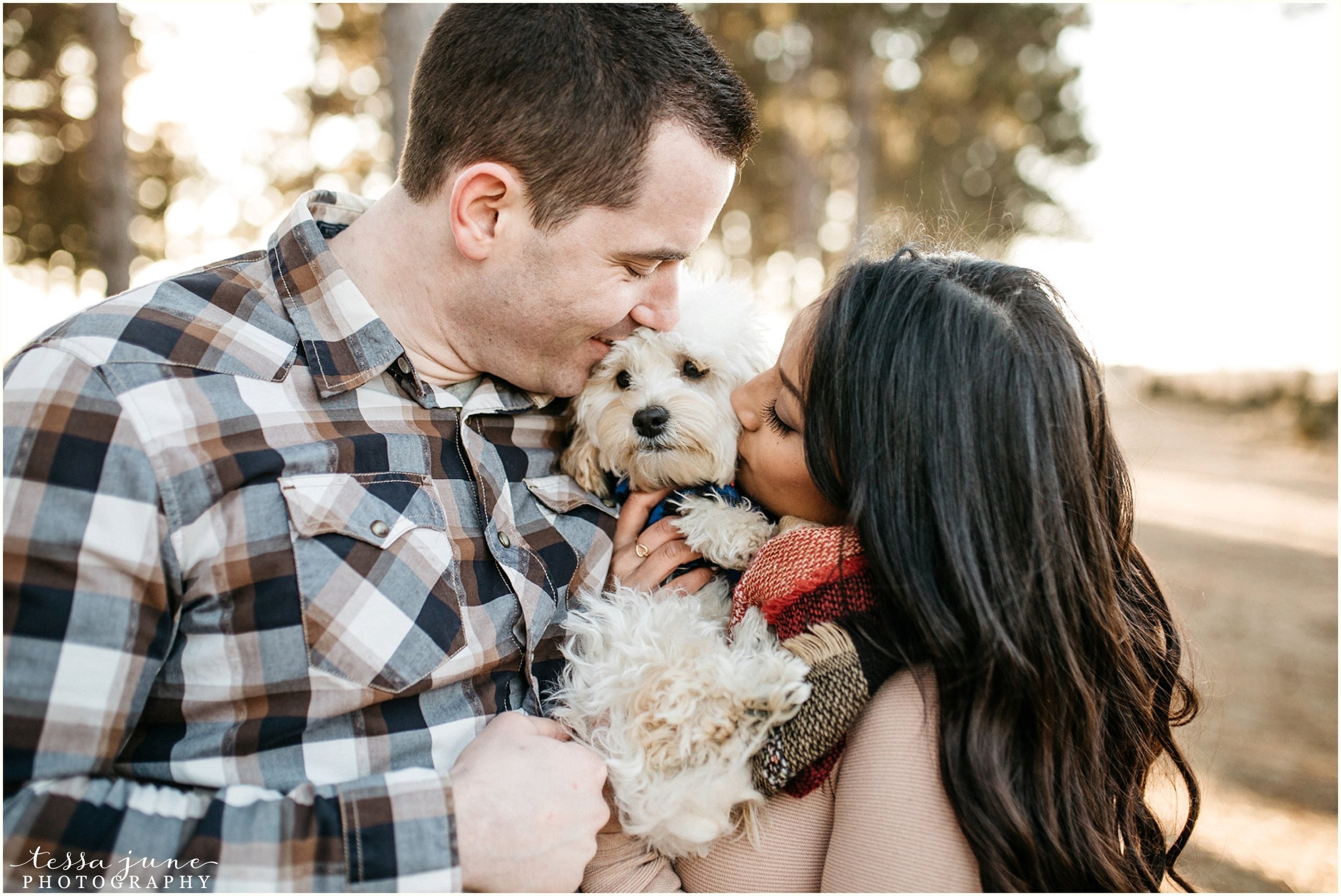 hansen-tree-farm-anoka-engagement-session-st-cloud-photographer-8.jpg