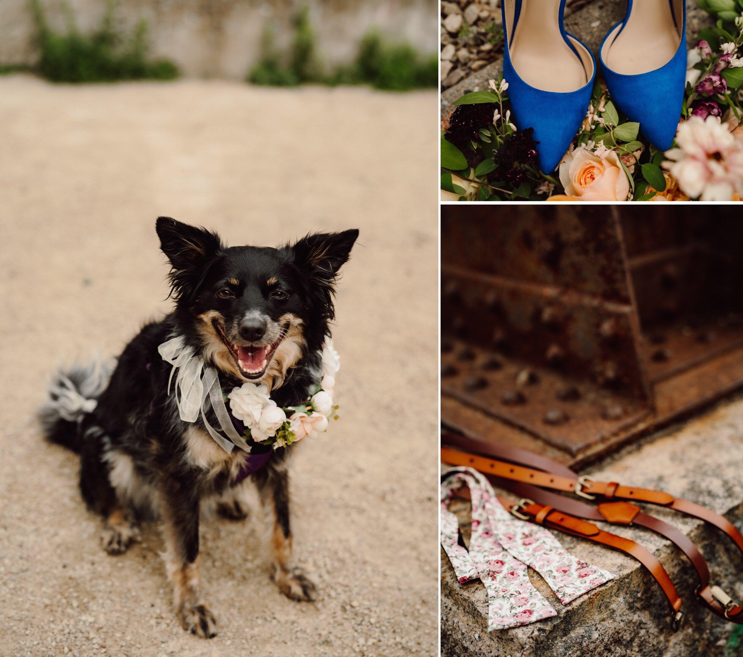 01_Fox-Wedding-445_Fox-Wedding-14_Fox-Wedding-5_covid_minneapolis_intimate_Summer_wedding_minnesota.jpg