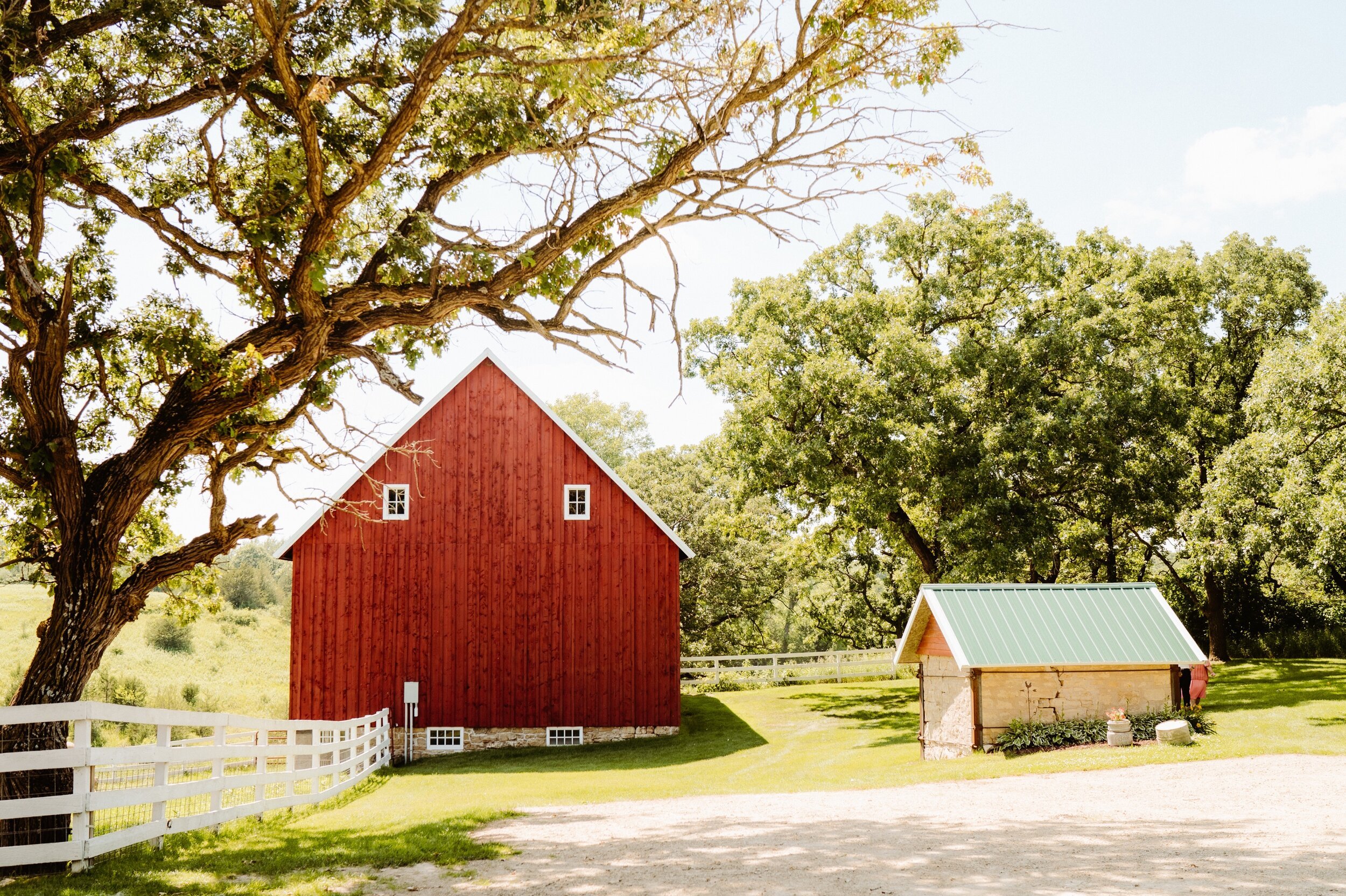 01_wasvick-02714_wedding_farm_june_Summer_minnesota_almquist_hastings.jpg