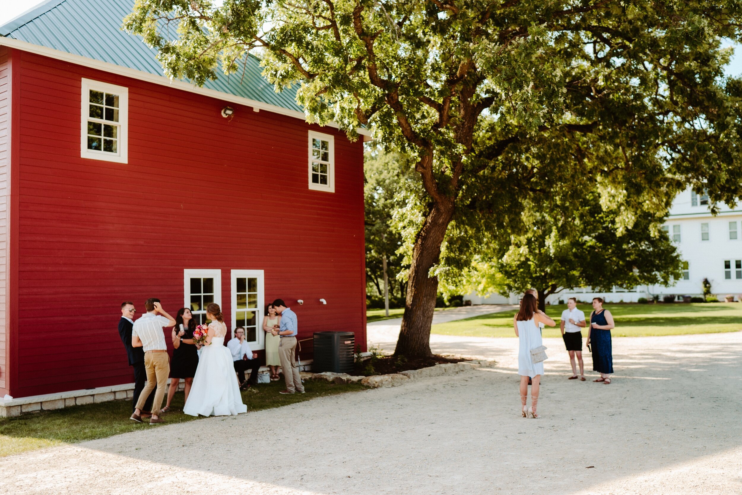 45_wasvick-04485_wedding_farm_june_Summer_minnesota_almquist_hastings.jpg