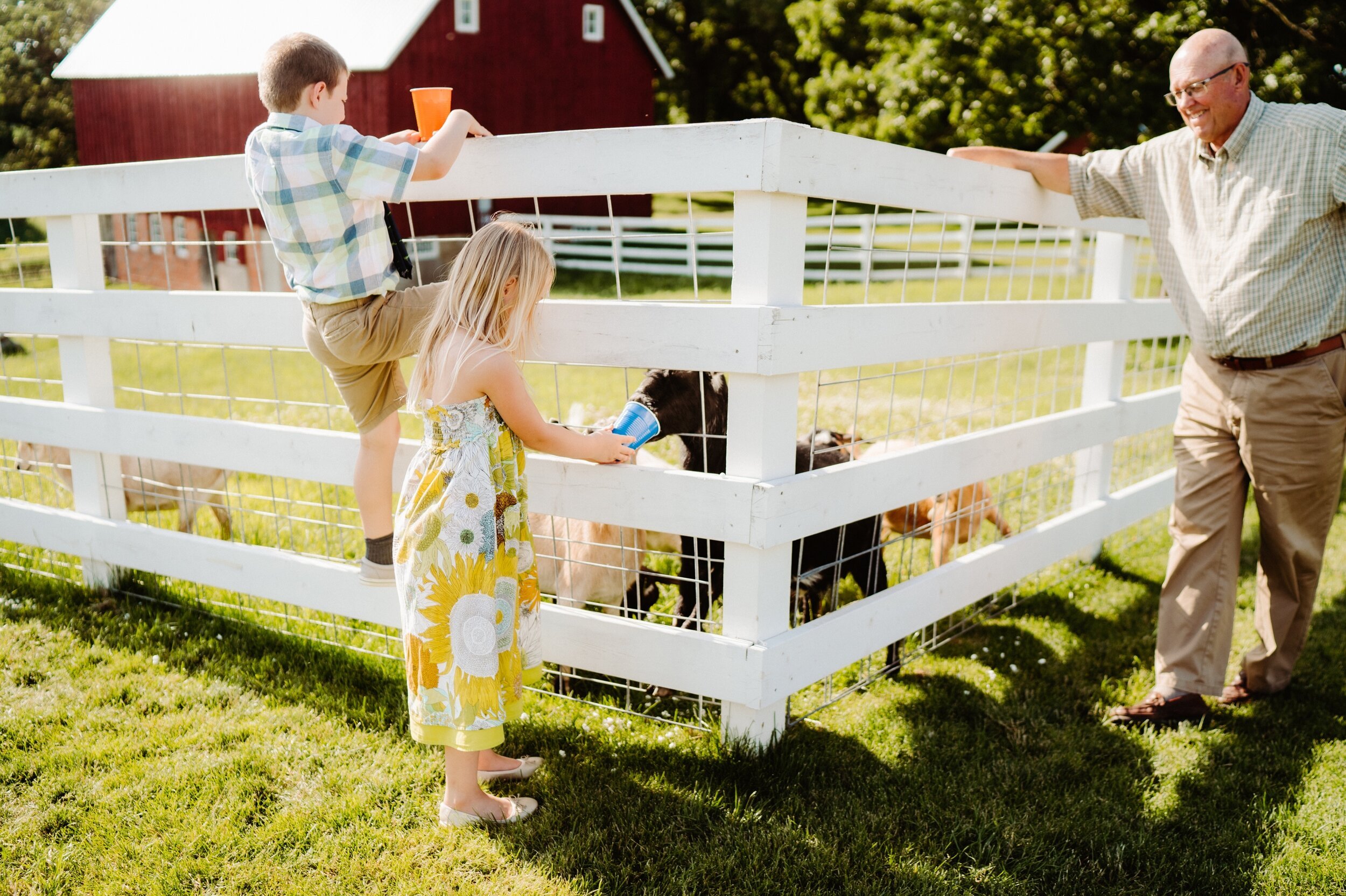 46_wasvick-04511_wedding_farm_june_Summer_minnesota_almquist_hastings.jpg