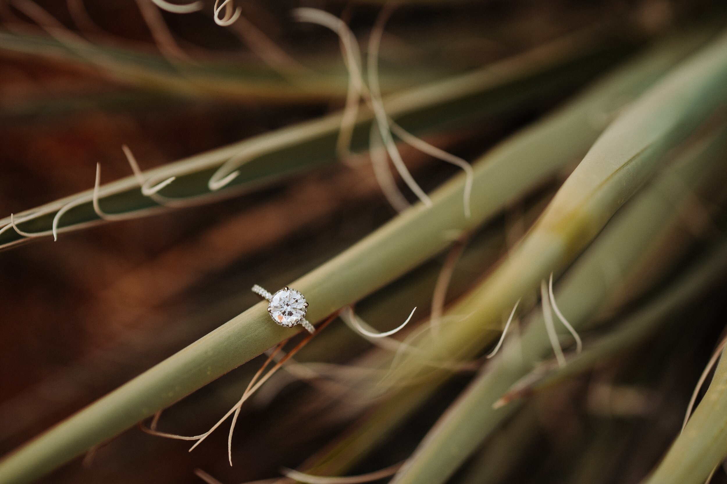 28_sedona-arizona-engagement-session-kayla-mitch-49_Sedona, Arizona engagement session at Bell Rock..jpg