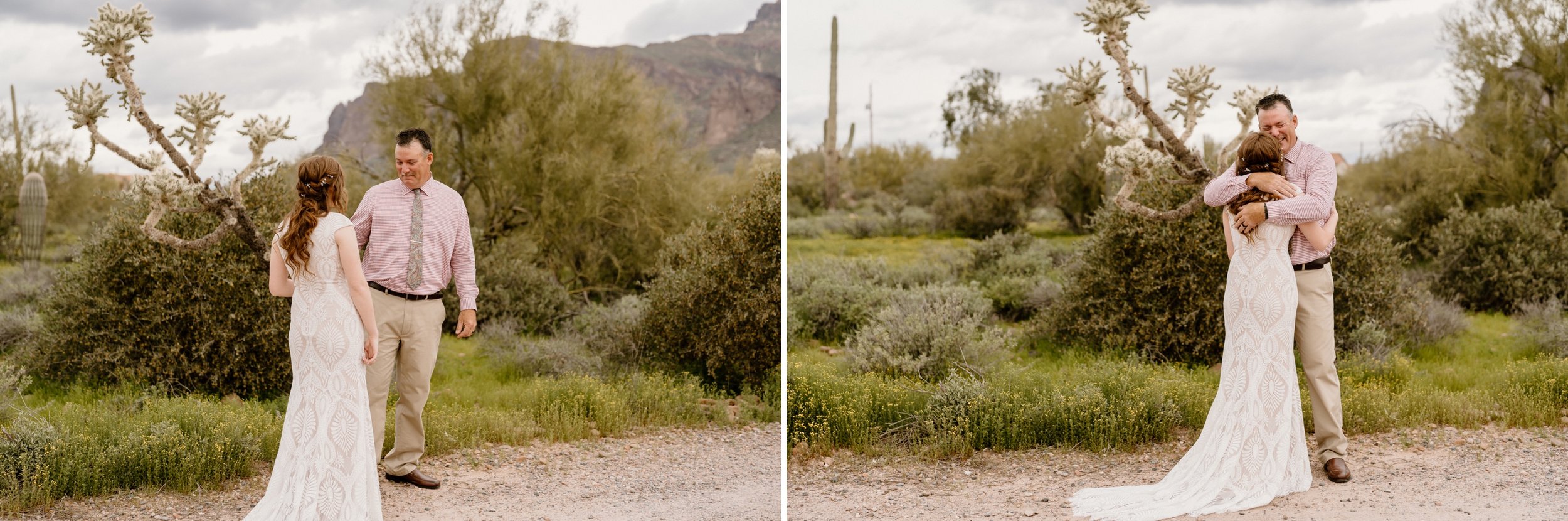 04_Superstition Mountain Backyard Wedding in Apache Junction, Arizona.jpg