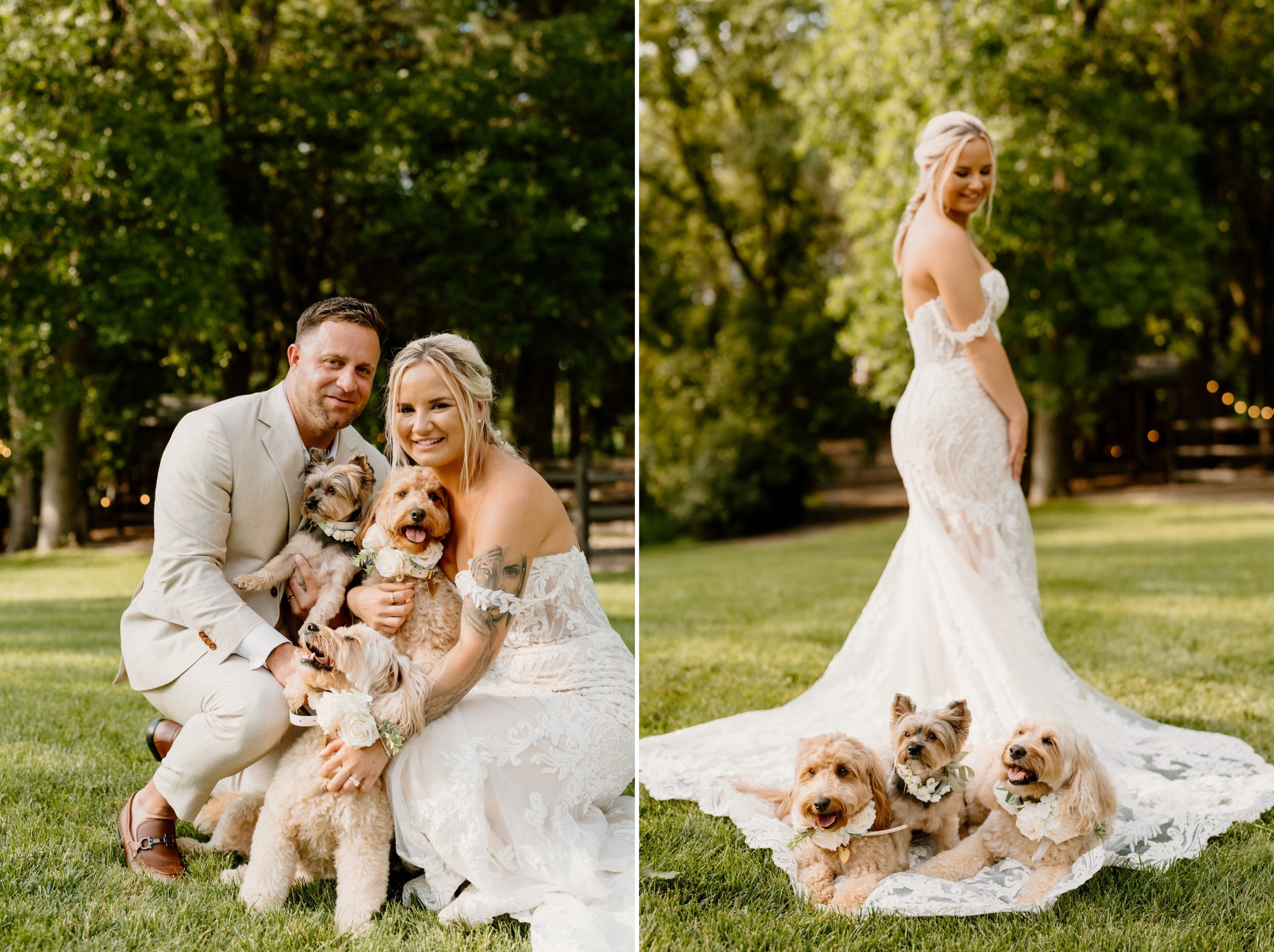 29_Backyard Wedding in Central Minnesota.jpg