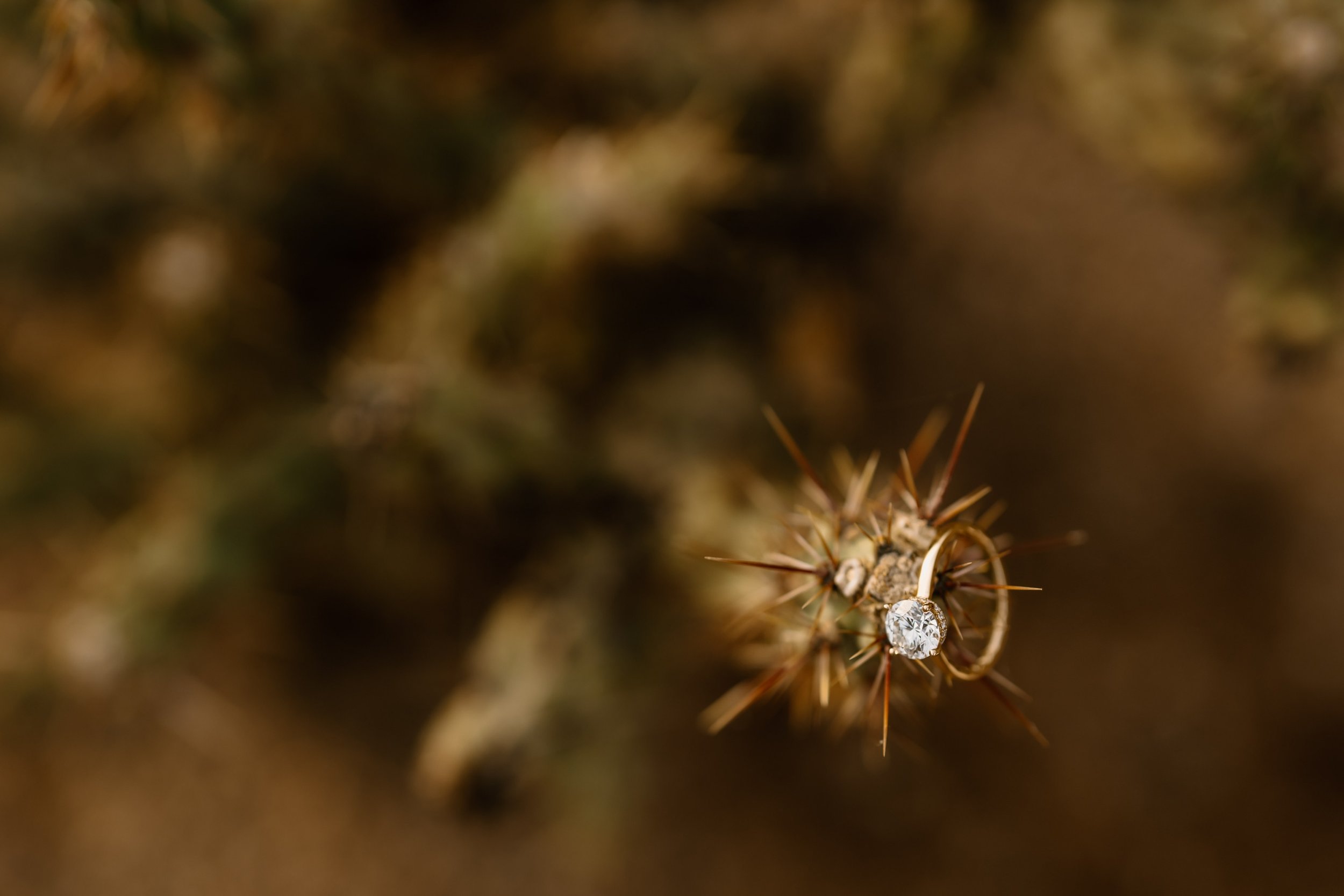 05_Lost Dutchman State Park engagement photos in Apache Junction, Arizona..jpg