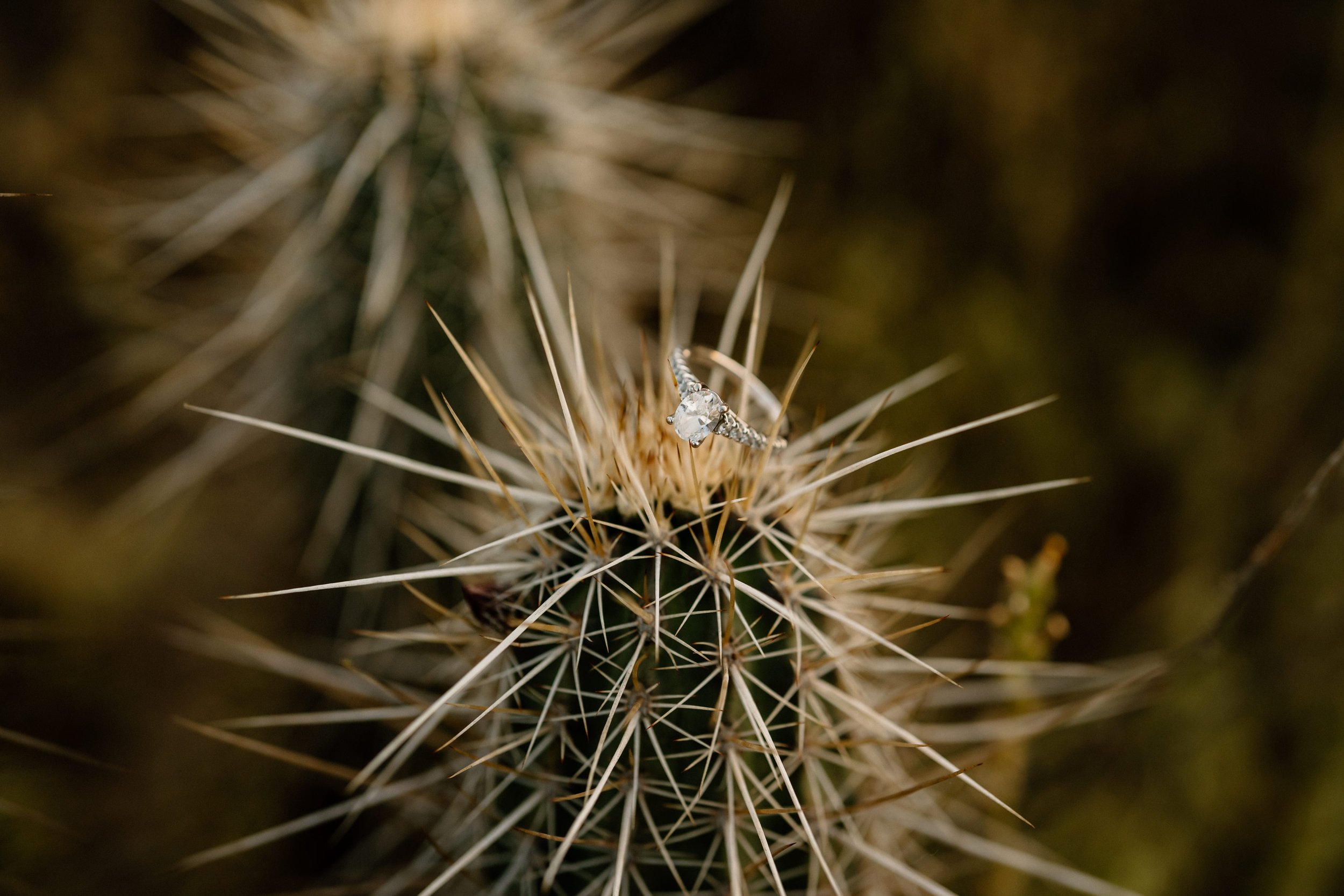 14_Engagement photos at Phon D Sutton in Mesa, Arizona..jpg